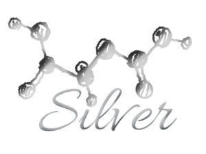 Logo Silver